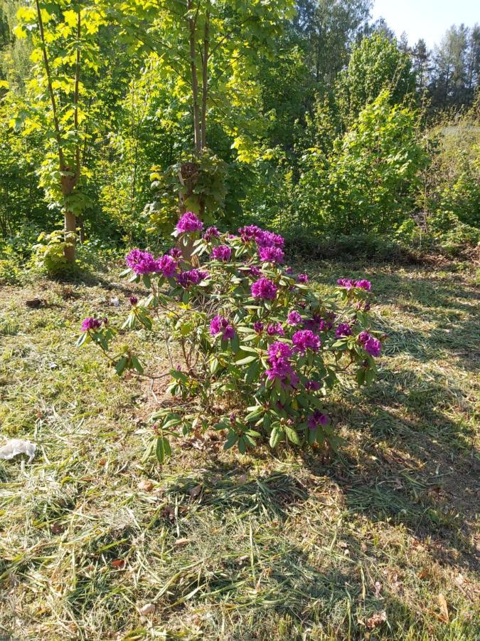 Auf Dem Roten Fels Eppenbrunn Екстер'єр фото